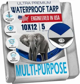 10x12 Tarp Waterproof Plastic Tarp - Grommets Every 18 Inches - 5 Mil - Multipurpose Water Proof Cover for Rain, Outdoor, Garden, Camping, Emergency Survival (Reversible Tarpaulin, Blue and Silver)