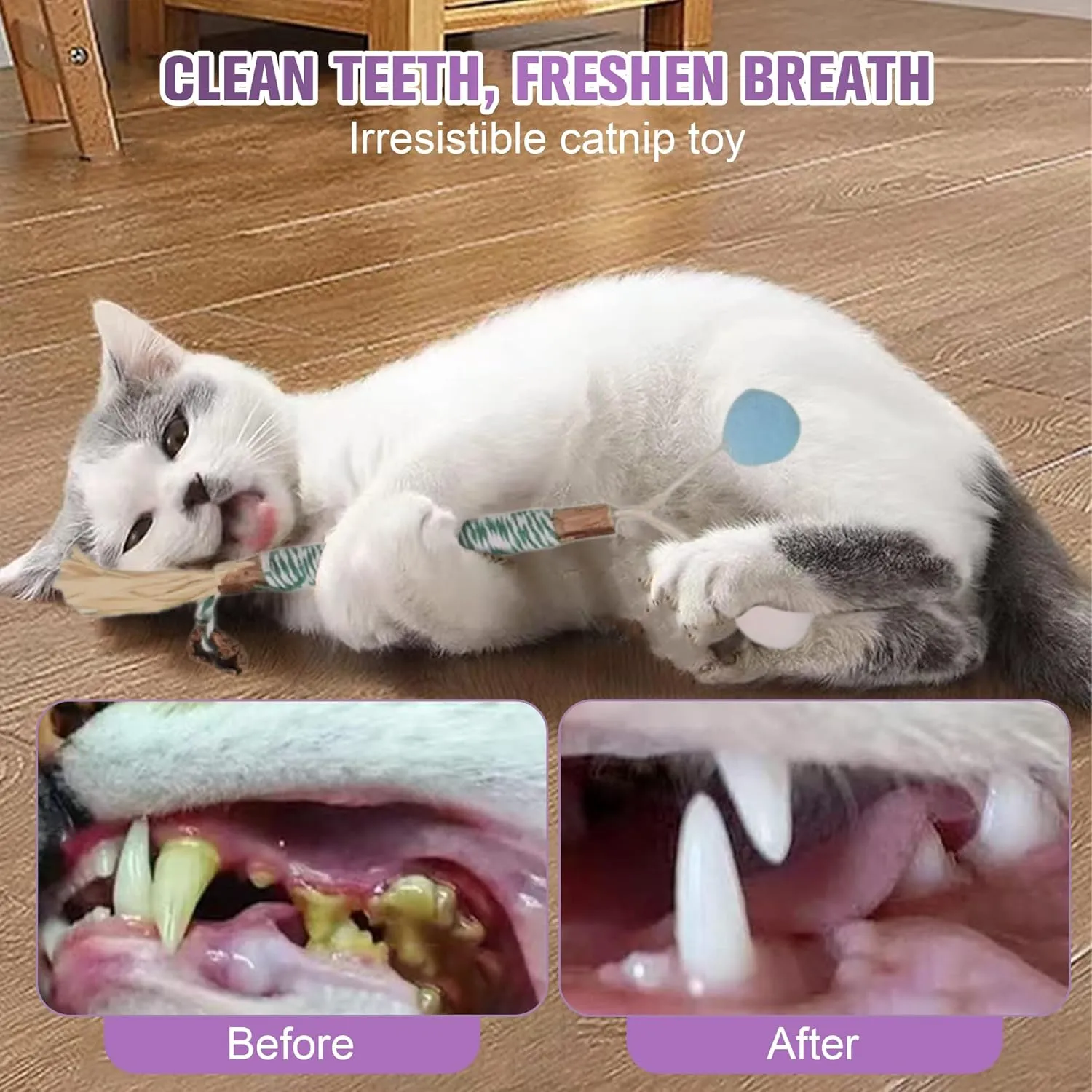 13 Pack Cat Chew Toy Set-Silvervine Sticks Catnip Rope Toys for Cats Teeth Cleaning, Kitten Dental Care,Interactive Cat Toys with Suction Cup Cat Wand Toy for Indoor Cats