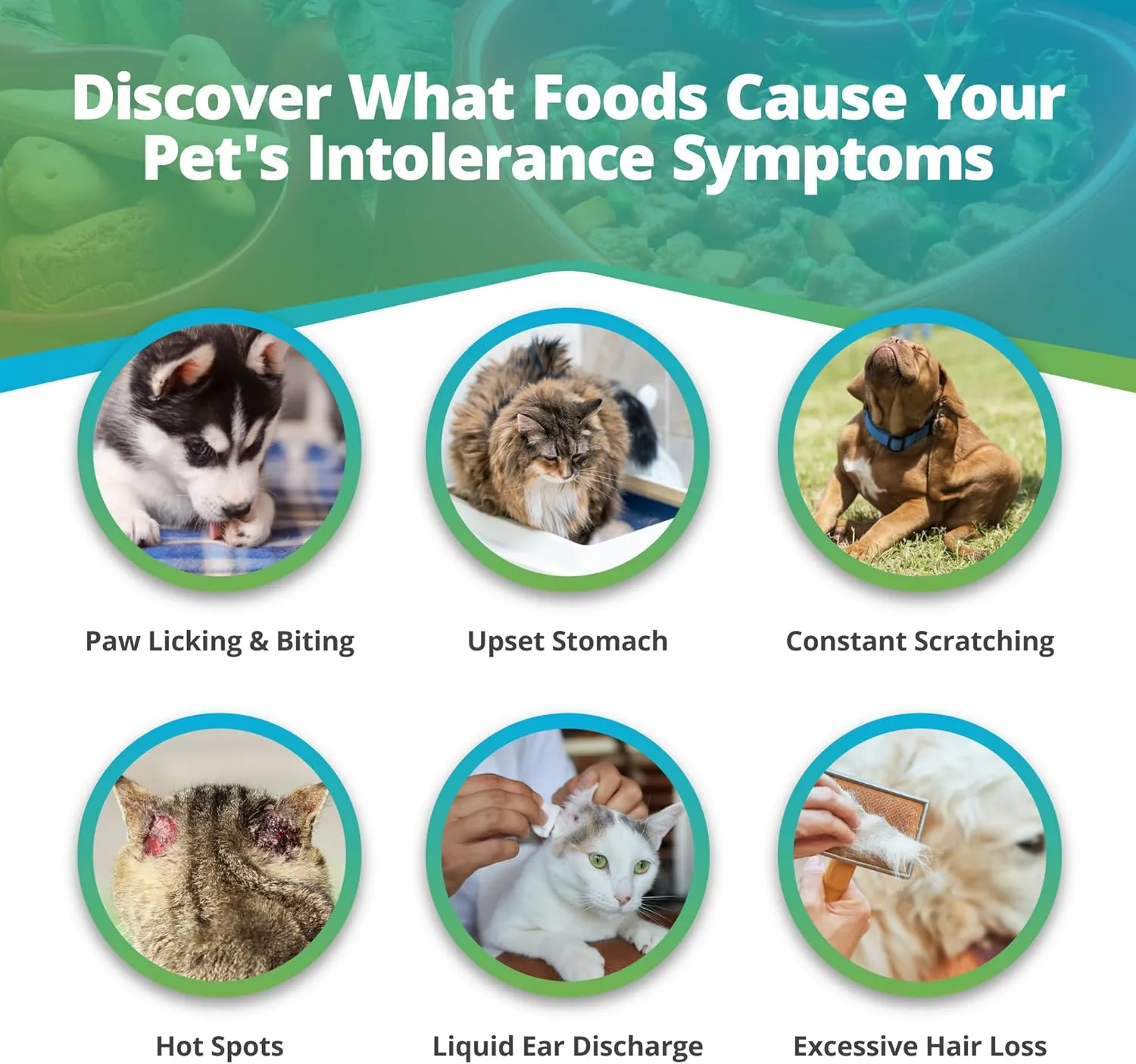 5Strands Pet Food Intolerance Test, at Home Sensitivity Test for Dogs & Cats, 270 Items, Hair Analysis, Accurate for All Ages & Breeds, Pet Gut Health, Fast 5 Day Results