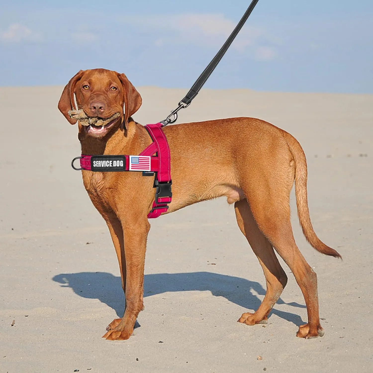 Annchwool No Pull Dog Harness with Airtag Case and Two Patches,Quick Fit and Reflective Escape Proof Dog Harness,Easy for Training Walking Vest Harness for Small & Medium and Large Dog(Red,S)