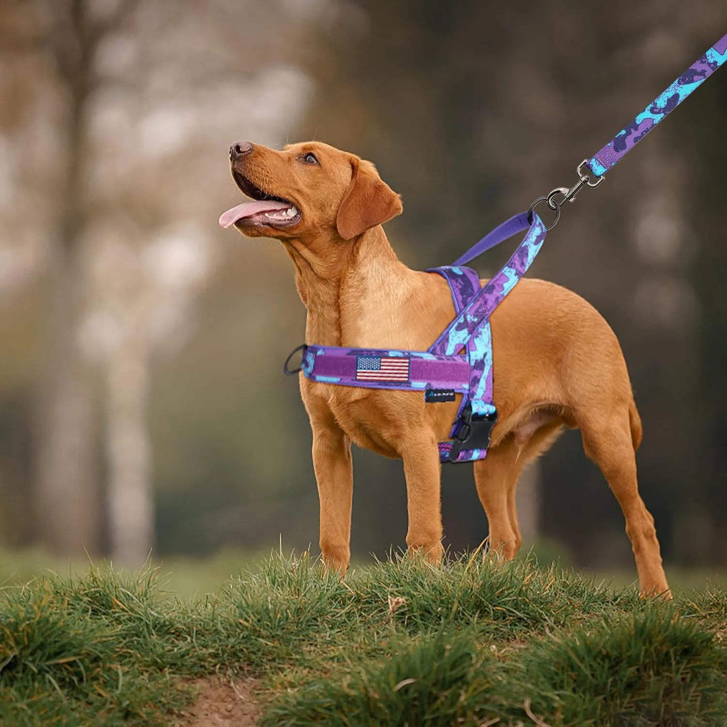 Annchwool No Pull Dog Harness with Padded Handle 5 Ft Leash,Escape Proof and Quick Fit to Adjust Dog Harness,Easy for Training Walking for Small & Medium and Large Dogs(Camo Purple Set,M)