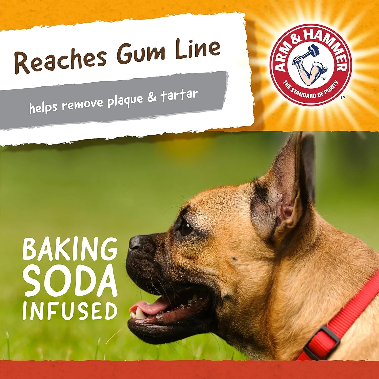 Arm & Hammer for Pets Super Treadz Mini Gorilla Dental Chew Toy for Dogs Dog Dental Chew Toys Reduce Plaque & Tartar Buildup Without Brushing for Dogs up to 25 Lbs (Pack of 24)