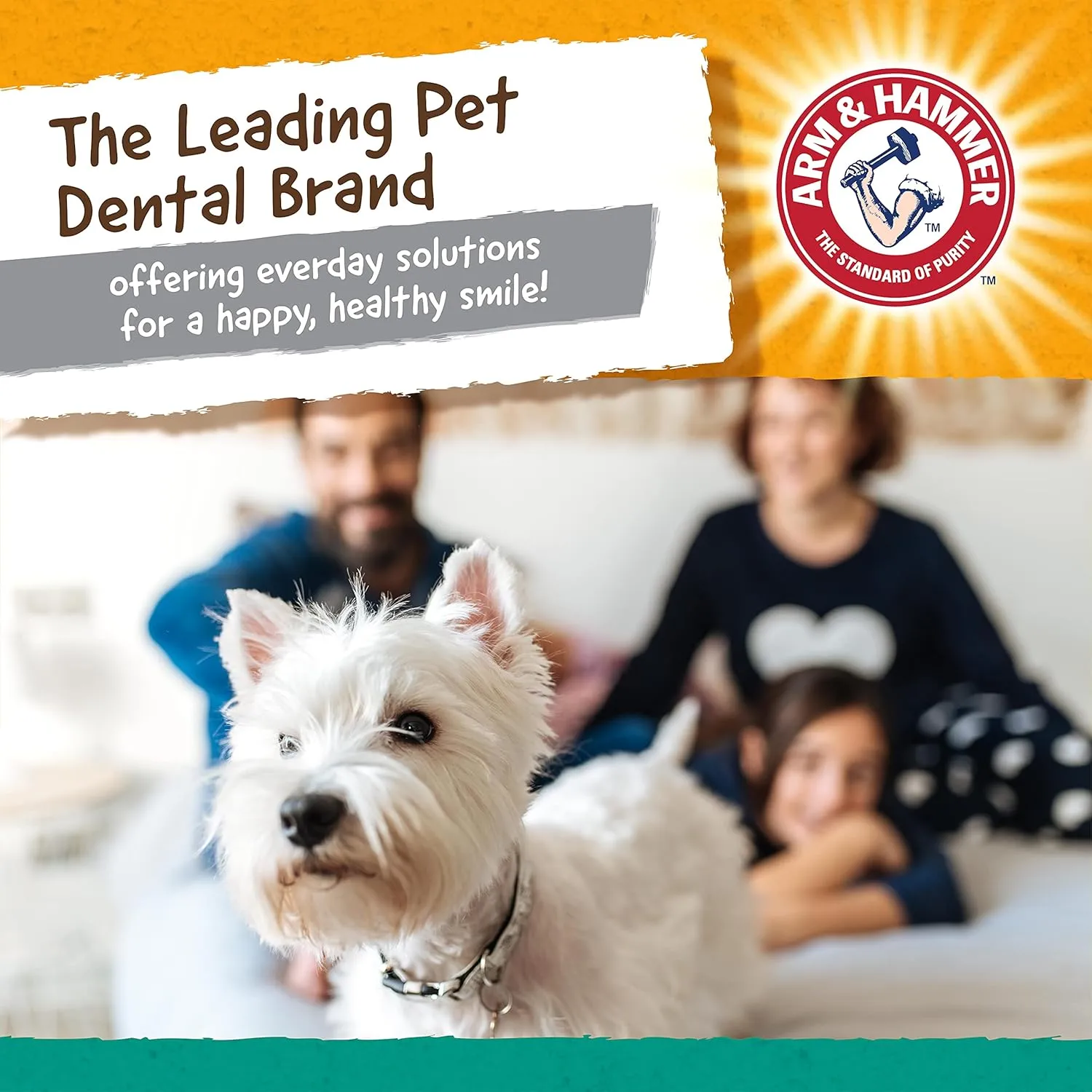 Arm & Hammer Ora-Play T-Bone Dental Chew Toy for Dogs Best Dog Chew Toy for Moderate Chewers Reduces Plaque & Tartar Buildup Without Brushing, Peanut Butter Flavor (Pack of 24)