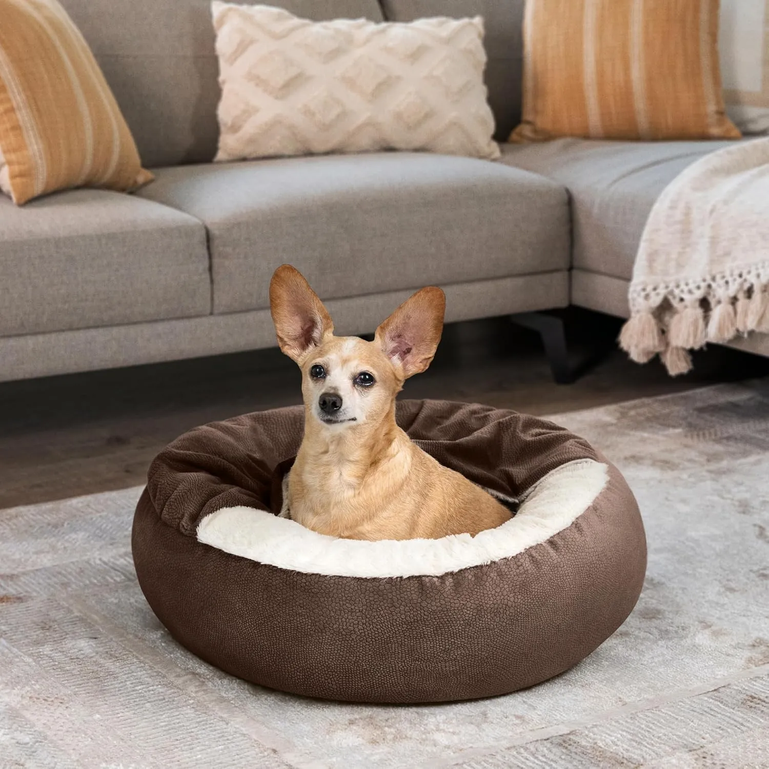 Best Friends by Sheri Cozy Cuddler Ilan Covered Cat and Dog Bed with Attached Blanket, Dark Brown, 24"x24"