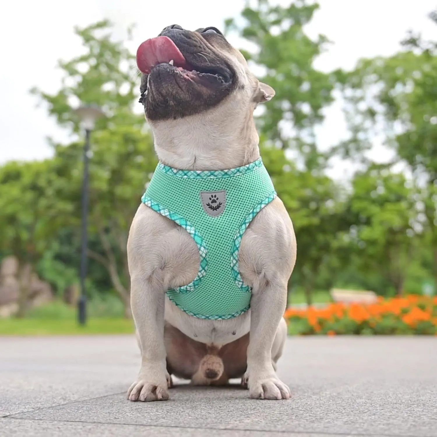 BINGPET Adjustable Dog Vest Harness and Leash Set,No Pull & No Choke Reflective Dog Harness with Padded,Lightweight All Weather Step-in Mesh Breathable Vest Harness for Small and Medium Dogs(Green,M)