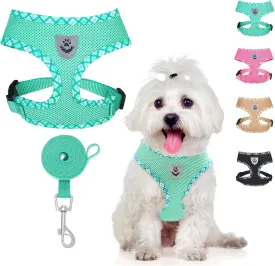 BINGPET Adjustable Dog Vest Harness and Leash Set,No Pull & No Choke Reflective Dog Harness with Padded,Lightweight All Weather Step-in Mesh Breathable Vest Harness for Small and Medium Dogs(Green,M)
