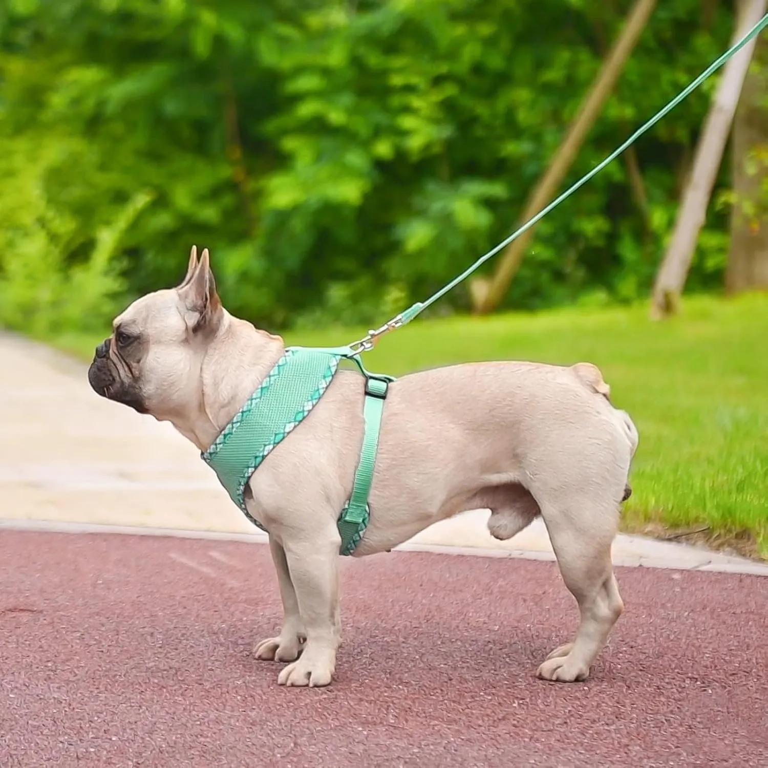 BINGPET Adjustable Dog Vest Harness and Leash Set,No Pull & No Choke Reflective Dog Harness with Padded,Lightweight All Weather Step-in Mesh Breathable Vest Harness for Small and Medium Dogs(Green,M)