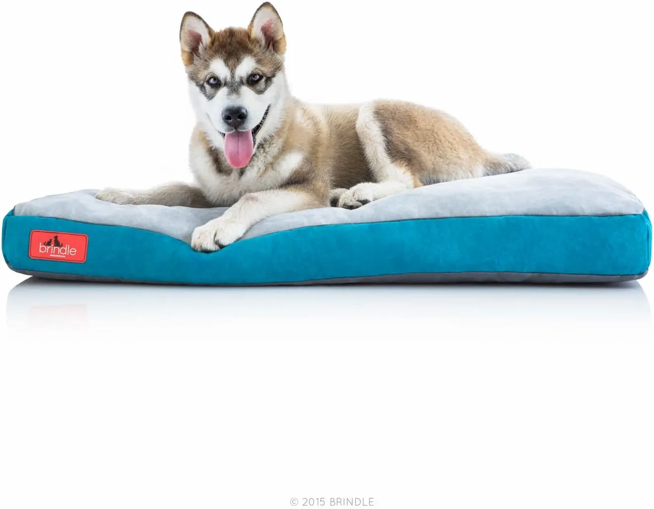 BRINDLE Teal Shredded Memory Foam Pet Bed - Pet Essentials - Orthopedic Design - Pet Crate Compatible - Machine Washable Cover - Indoor Pet Bed for Dogs, Puppies, Cats, and Rabbits - Size Medium