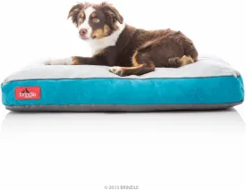 BRINDLE Teal Shredded Memory Foam Pet Bed - Pet Essentials - Orthopedic Design - Pet Crate Compatible - Machine Washable Cover - Indoor Pet Bed for Dogs, Puppies, Cats, and Rabbits - Size Medium
