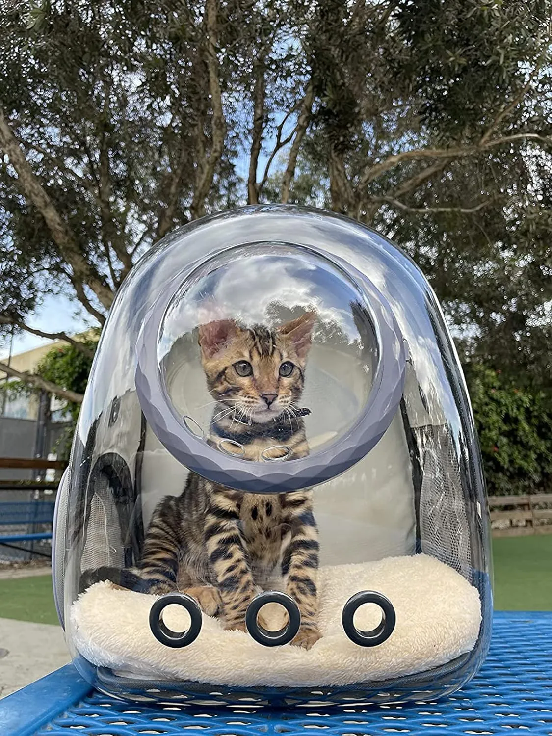 Bubble Cat Carrier Backpack Transparent Pet Carrier Backpack for Small Puppy and Bunny (Green, Backpack)