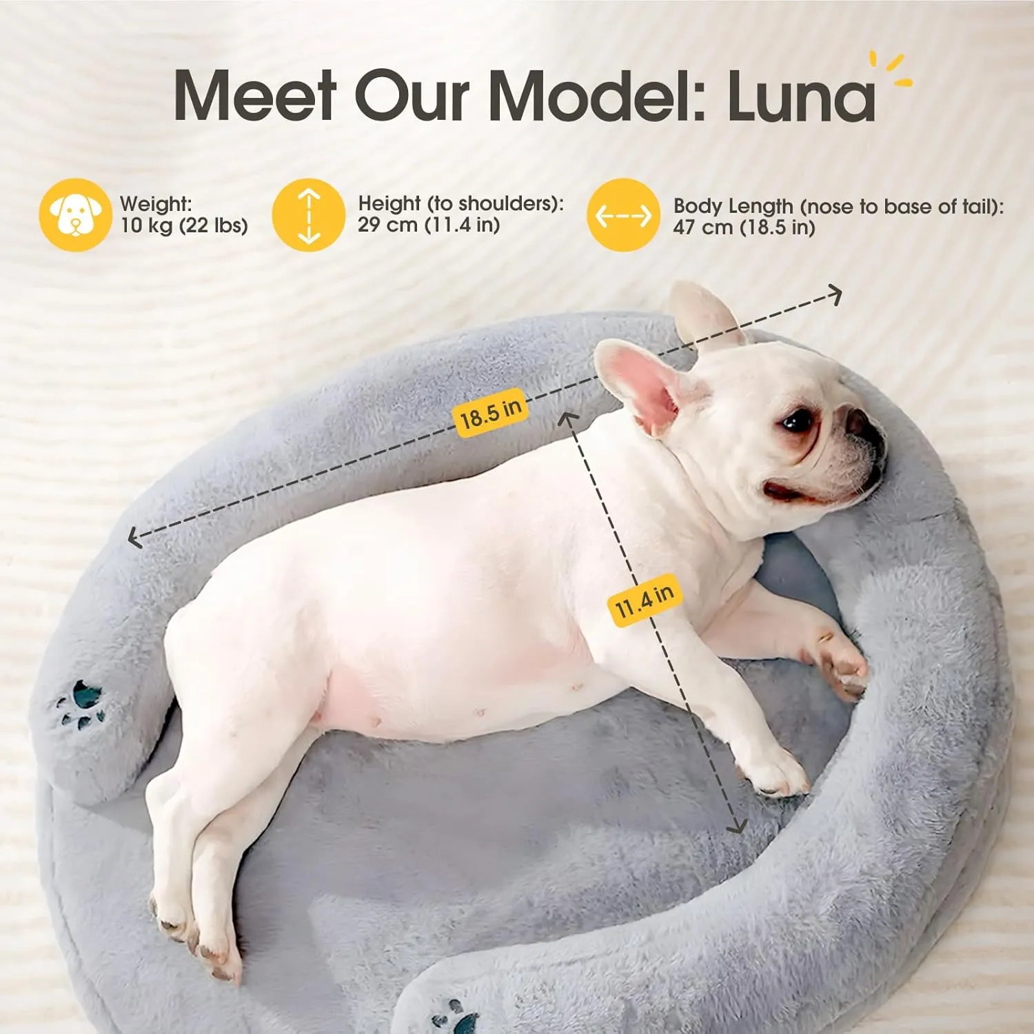 BurgeonNest Pet Soft CuddleNest Orthopedic Dog Bed Small Medium Size Dog, Waterproof Supportive Foam Cat Couch Bolster Pet Bed with Pillow, Removable Washable Cover, Non-Slip Bottom, Grey