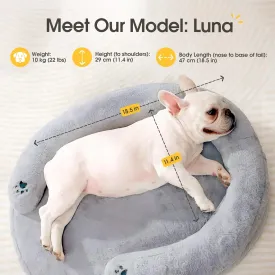 BurgeonNest Pet Soft CuddleNest Orthopedic Dog Bed Small Medium Size Dog, Waterproof Supportive Foam Cat Couch Bolster Pet Bed with Pillow, Removable Washable Cover, Non-Slip Bottom, Grey