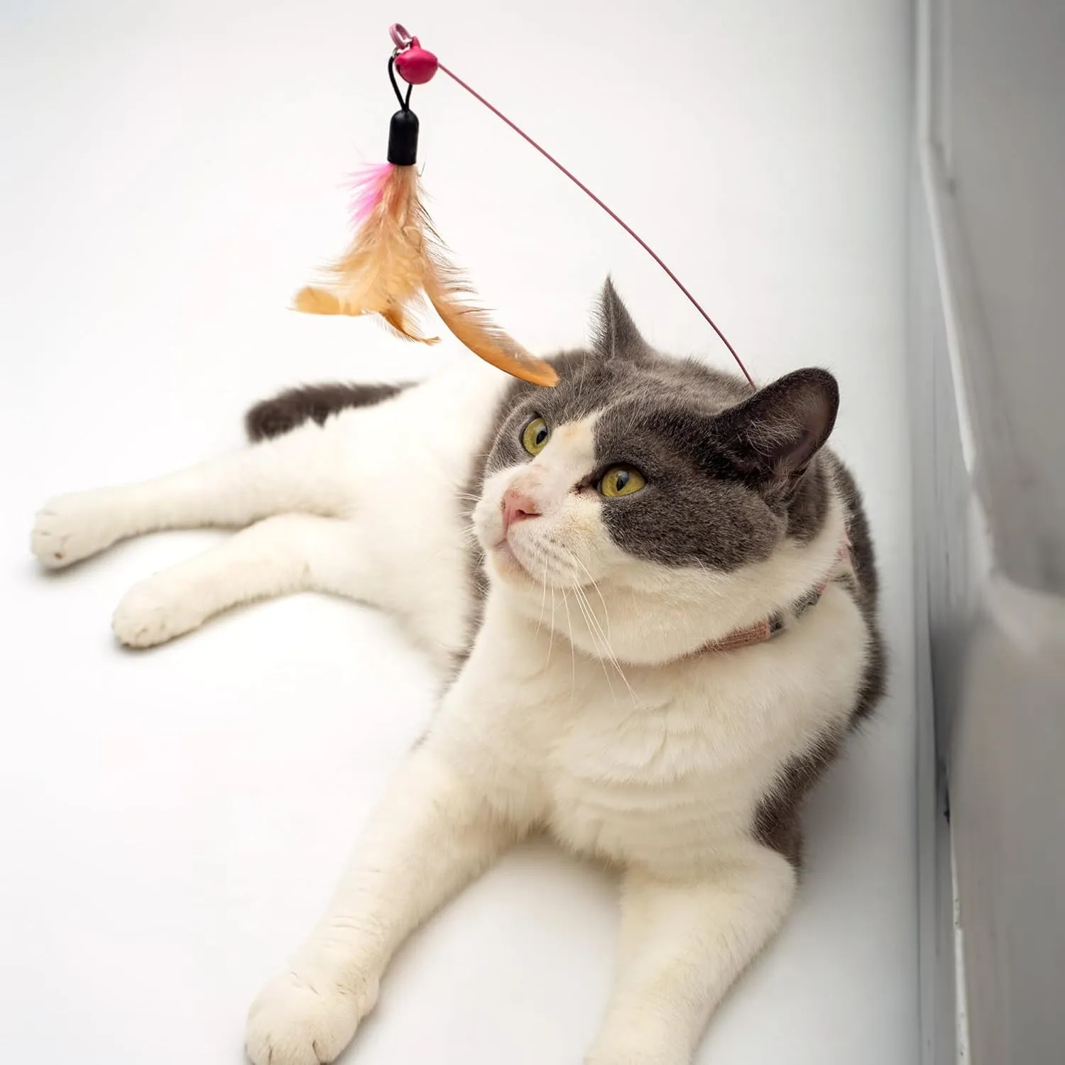 Cat Harness Collar Toy, Self Play Cat Feather Bell Toy with Harness (Pink, M)