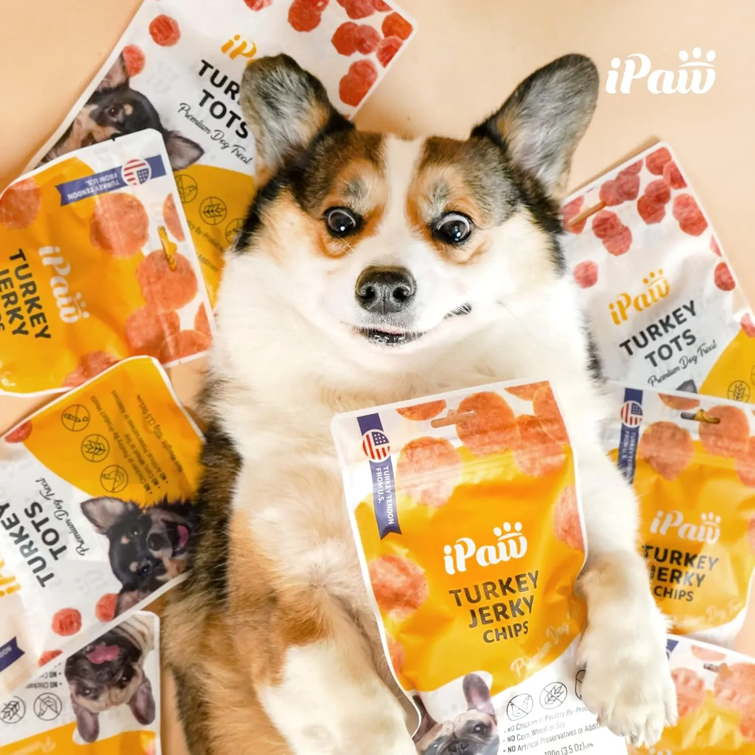 Chicken Tots Dog Treats for Puppy Training, All Natural Human Grade Dog Treat, Hypoallergenic, Easy to Digest (Chicken Tots)
