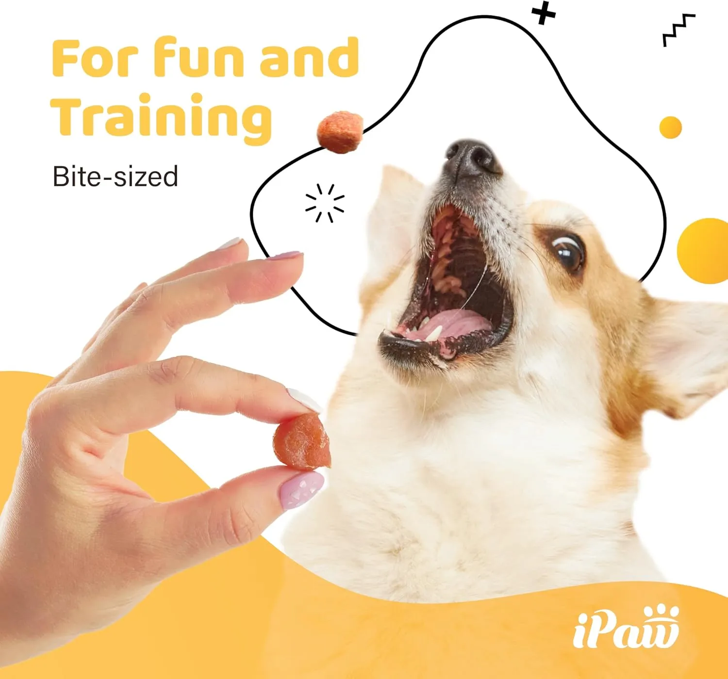 Chicken Tots Dog Treats for Puppy Training, All Natural Human Grade Dog Treat, Hypoallergenic, Easy to Digest (Chicken Tots)