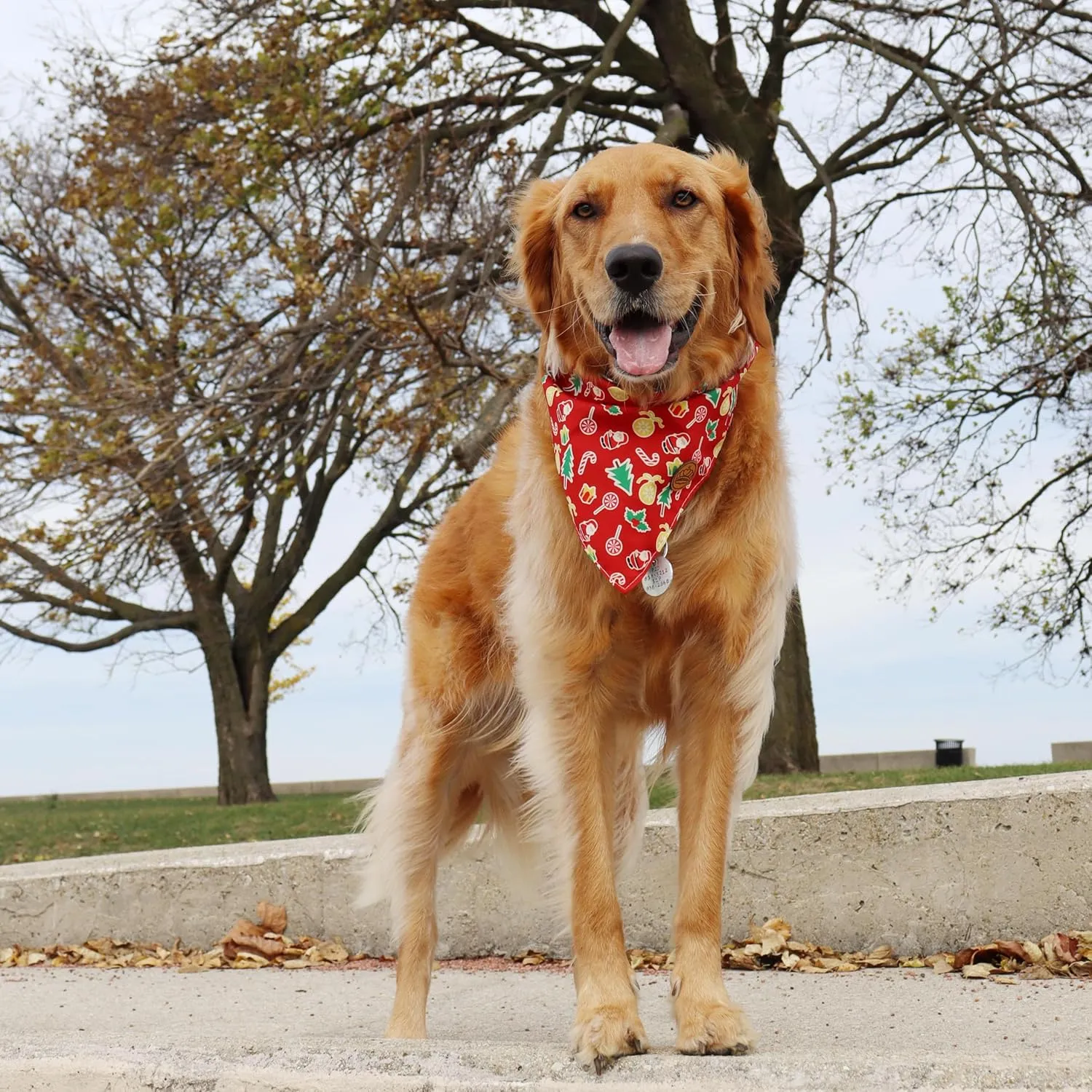 CROWNED BEAUTY Christmas Dog Bandanas Reversible Large 2 Pack, Gingerbread Delight Set, Polka Dots Adjustable Triangle Holiday Scarves for Medium Large Extra Large Dogs Boy Girl Pets DB138-L