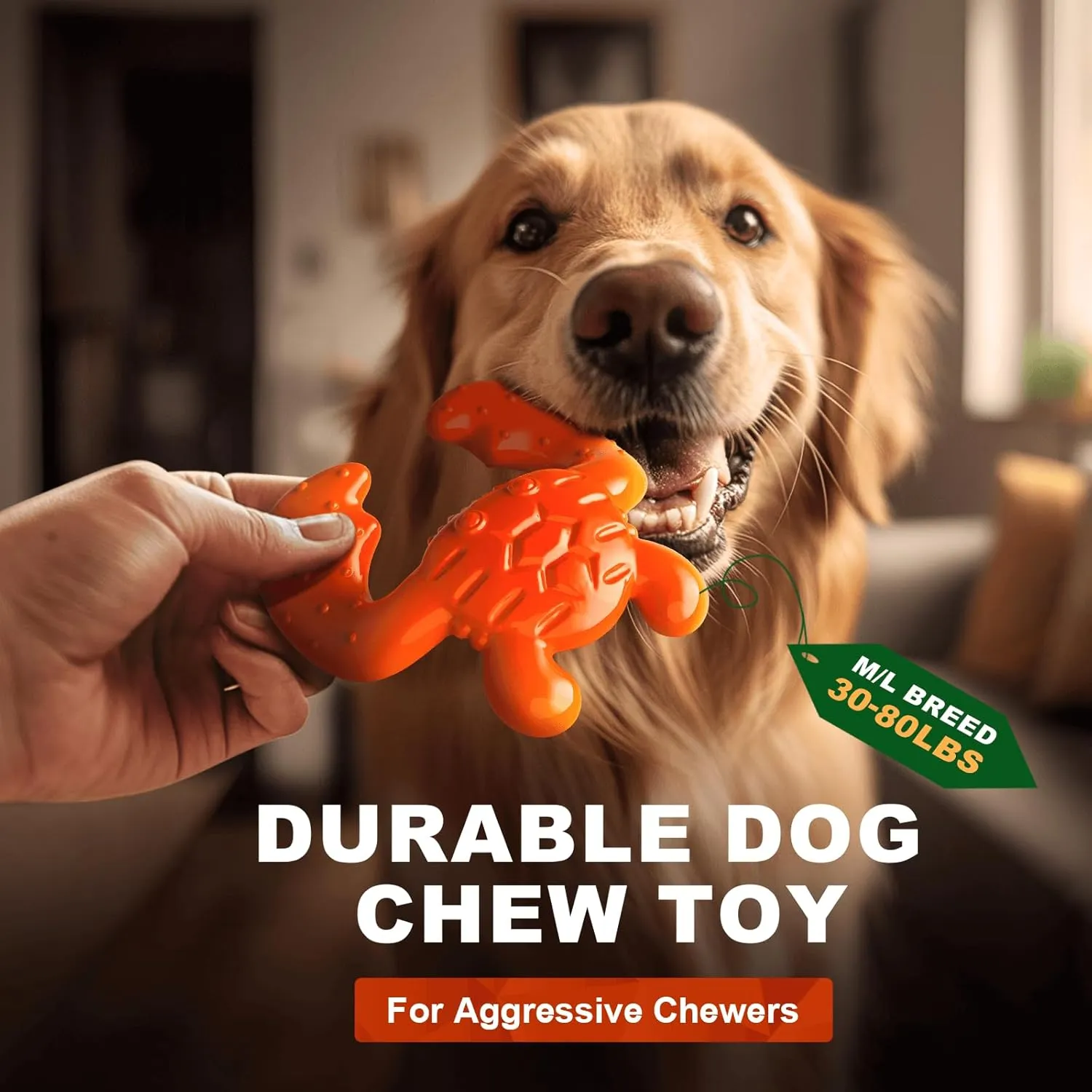 Dog Chew Toy for Aggressive Chewers  Durable Nylon Material, Tough Interactive Dog Toy for Large and Medium Dogs, Perfect for Teeth Cleaning and Gum Health, Christmas Birthday Gifts for Dogs