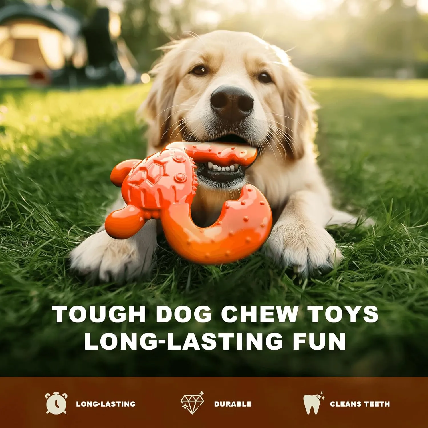 Dog Chew Toy for Aggressive Chewers  Durable Nylon Material, Tough Interactive Dog Toy for Large and Medium Dogs, Perfect for Teeth Cleaning and Gum Health, Christmas Birthday Gifts for Dogs