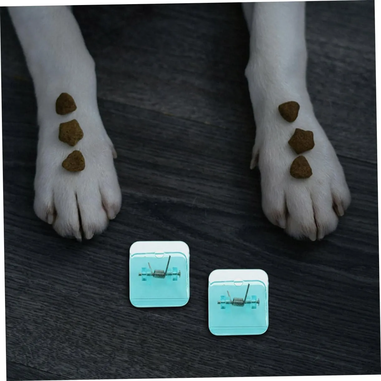 Dog Training Pad Holder 8 -Mounted Reusable Dog Pads Clip Dog Pee Pads for Indoors -Slip Discreet