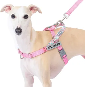 Easy Walk Dog Harness and Leash Set, Freedom No Pull Harness with 2 Patches,Escape Proof/Quick Fit to Adjust Dog Vest Harness,Easy for Training Walking for Small,Medium & Large Dogs(Pink,M)
