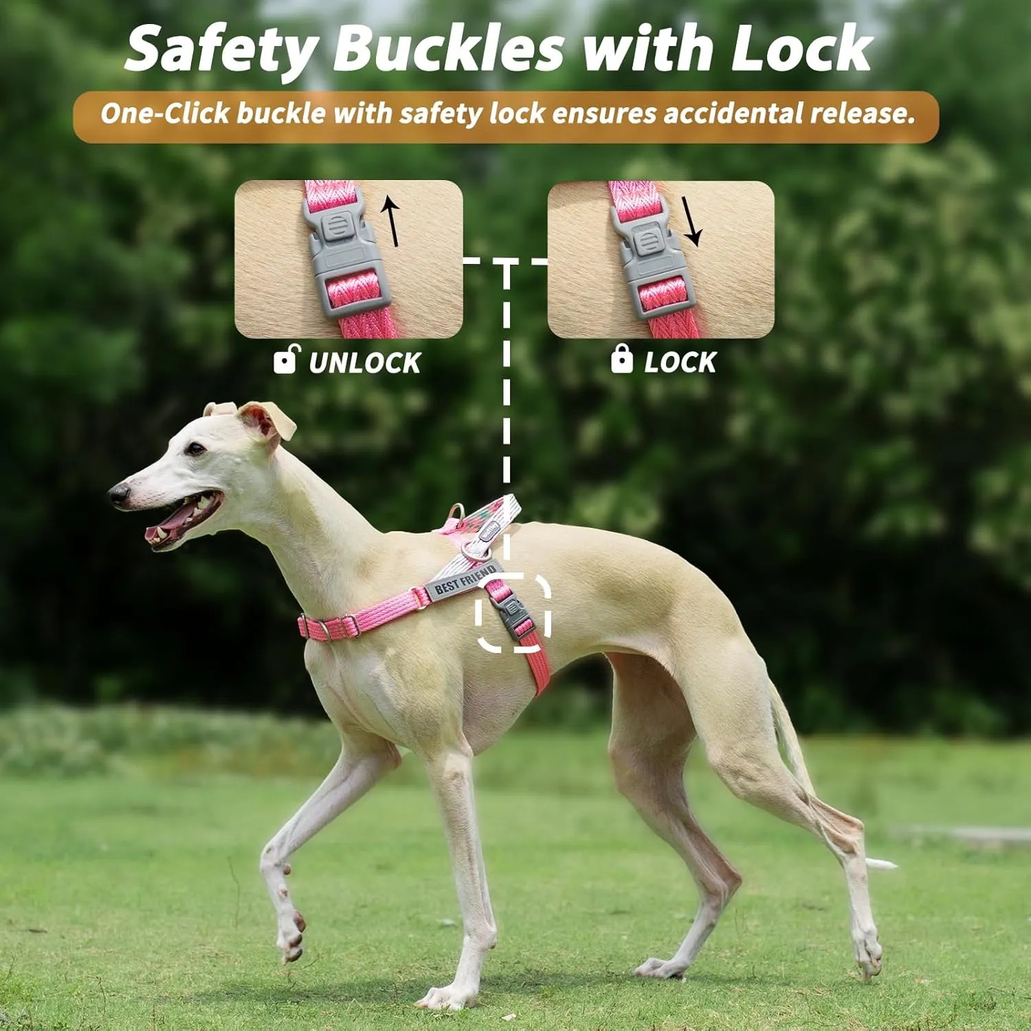 Easy Walk Dog Harness and Leash Set, Freedom No Pull Harness with 2 Patches,Escape Proof/Quick Fit to Adjust Dog Vest Harness,Easy for Training Walking for Small,Medium & Large Dogs(Pink,M)
