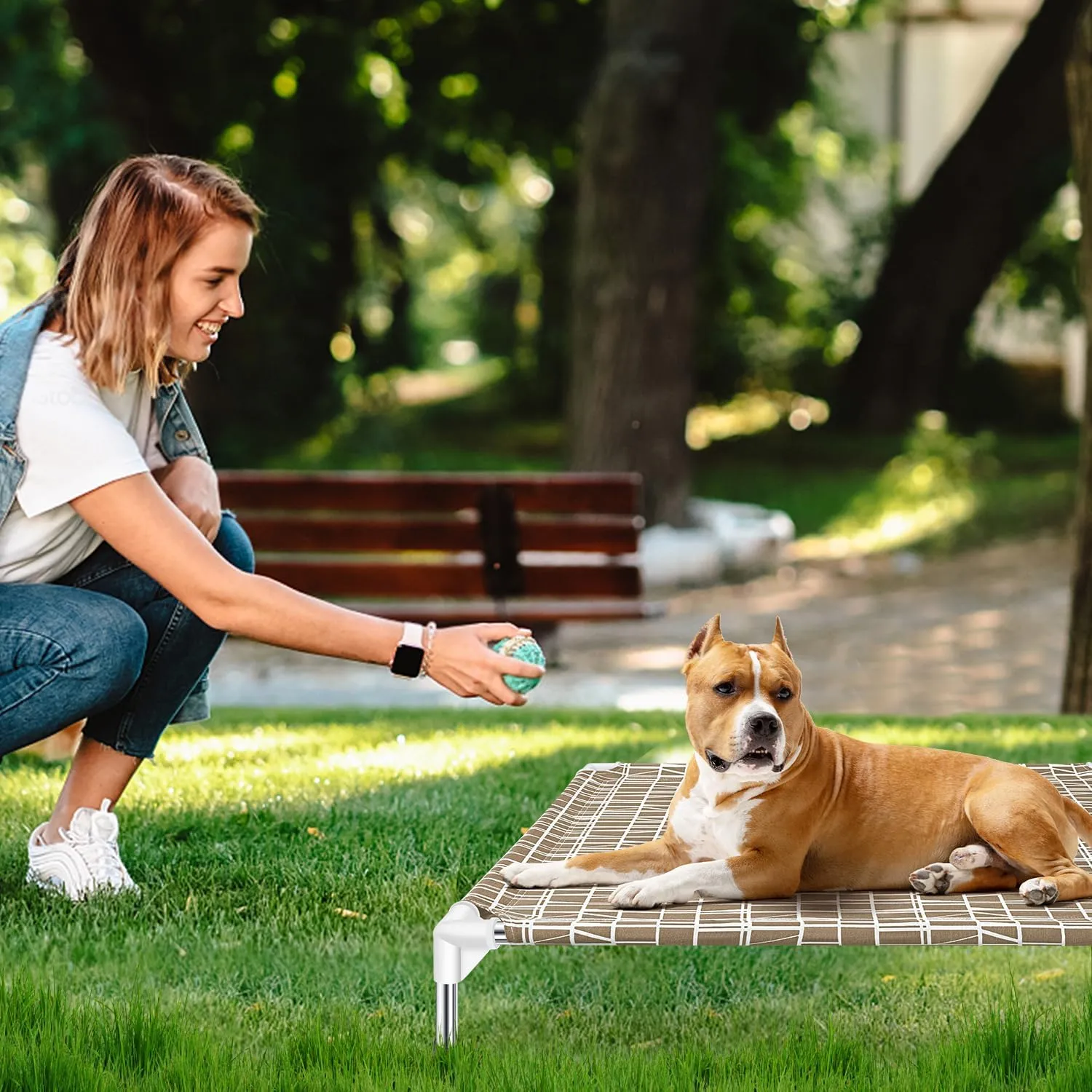 Elevated Dog Bed - Raised Pet Cot, Medium Size, Portable Indoor & Outdoor Dog cot Bed, Soft and Comfortable, Pet Bed for Camping or Beach, Medium