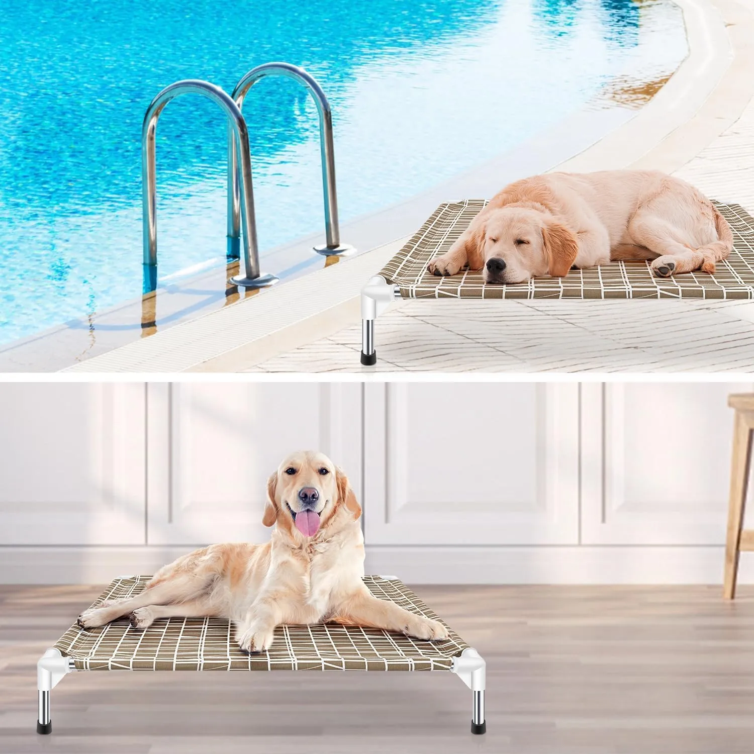 Elevated Dog Bed - Raised Pet Cot, Medium Size, Portable Indoor & Outdoor Dog cot Bed, Soft and Comfortable, Pet Bed for Camping or Beach, Medium