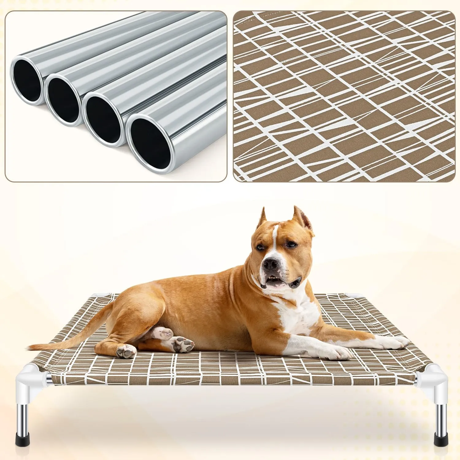 Elevated Dog Bed - Raised Pet Cot, Medium Size, Portable Indoor & Outdoor Dog cot Bed, Soft and Comfortable, Pet Bed for Camping or Beach, Medium