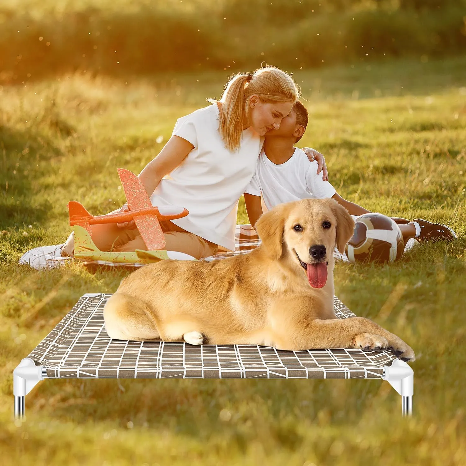 Elevated Dog Bed - Raised Pet Cot, Medium Size, Portable Indoor & Outdoor Dog cot Bed, Soft and Comfortable, Pet Bed for Camping or Beach, Medium