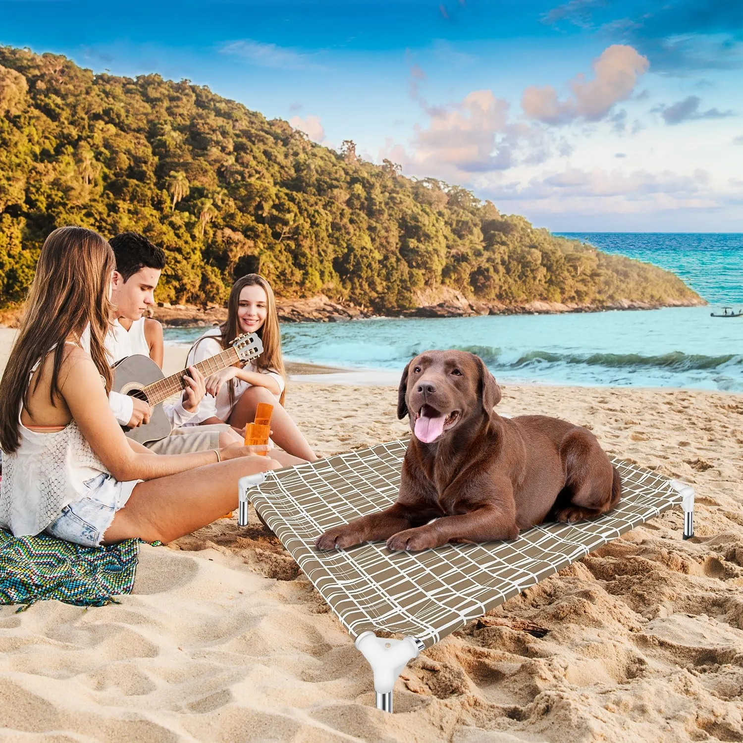 Elevated Dog Bed - Raised Pet Cot, Medium Size, Portable Indoor & Outdoor Dog cot Bed, Soft and Comfortable, Pet Bed for Camping or Beach, Medium