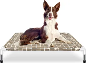 Elevated Dog Bed - Raised Pet Cot, Medium Size, Portable Indoor & Outdoor Dog cot Bed, Soft and Comfortable, Pet Bed for Camping or Beach, Medium