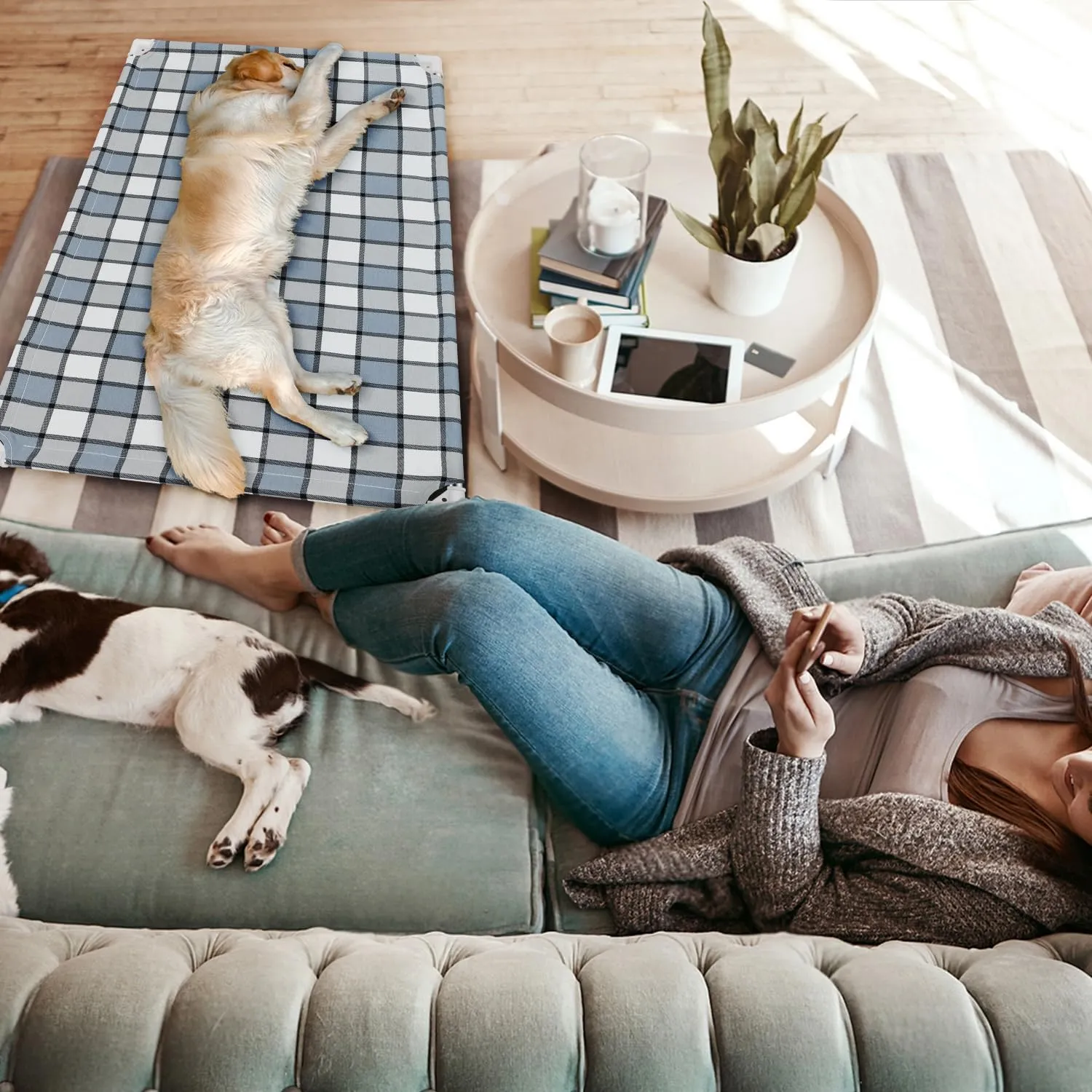 Elevated Outdoor Raised Dog Bed Outdoor Dogs Bed Lifted Pet Bed Dog Cot for Medium Pet Taste Life, Start with A Pet Bed 34'' x 26'' x 5''