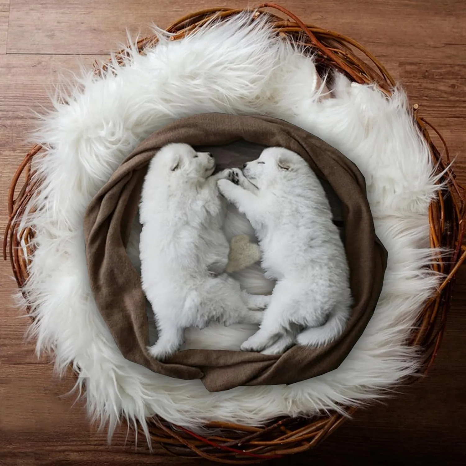 Fluffy Dog Cat Bed Mat 19.6x31.4 inch, Washable Soft Plush Faux Fur Warm Area Puppy Pads Blanket for Indoor Pet Sleep Cushion White