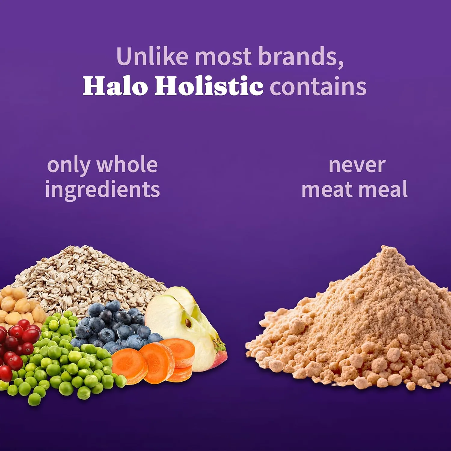 Halo Holistic Plant-Based Recipe With Superfoods, Complete Digestive Health, Vegan Dry Dog Food Bag, Adult Formula, 10-lb Bag