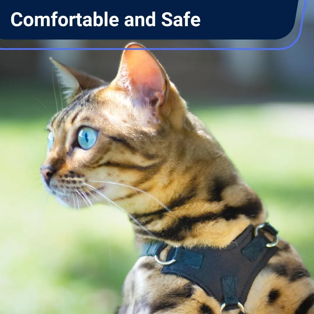 Houdini Escape Proof Cat Harness and Leash Set by OutdoorBengal  Orange, Medium Cat Harness for Walking