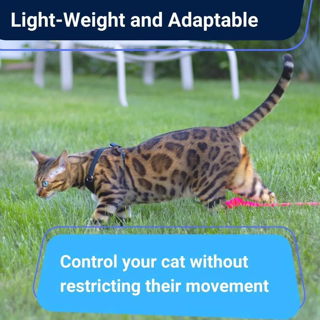 Houdini Escape Proof Cat Harness and Leash Set by OutdoorBengal  Orange, Medium Cat Harness for Walking
