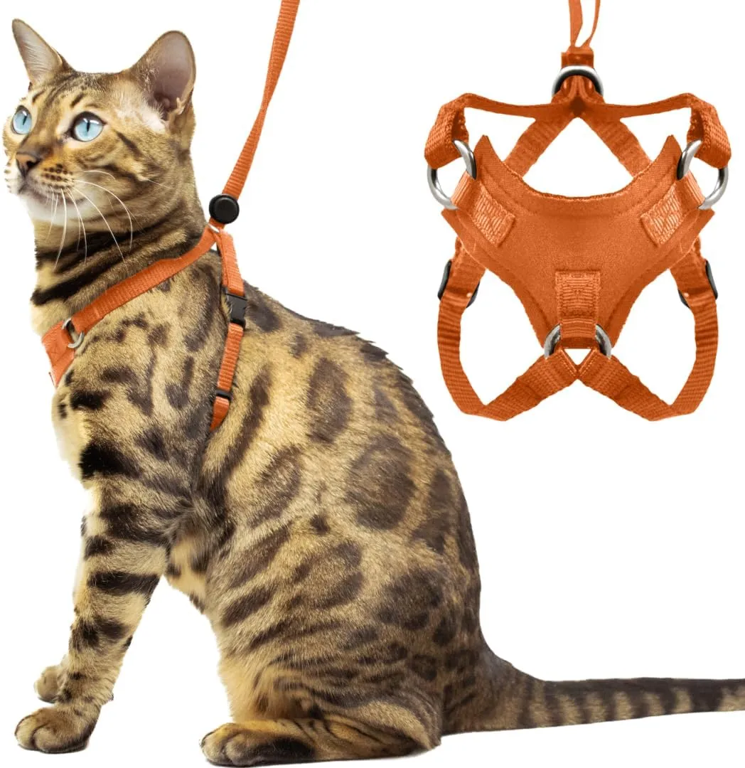 Houdini Escape Proof Cat Harness and Leash Set by OutdoorBengal  Orange, Medium Cat Harness for Walking