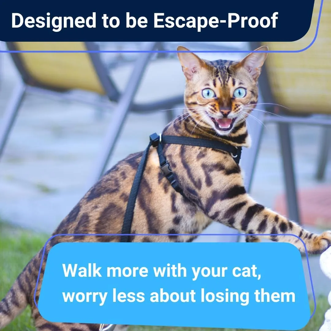 Houdini Escape Proof Cat Harness and Leash Set by OutdoorBengal  Orange, Medium Cat Harness for Walking
