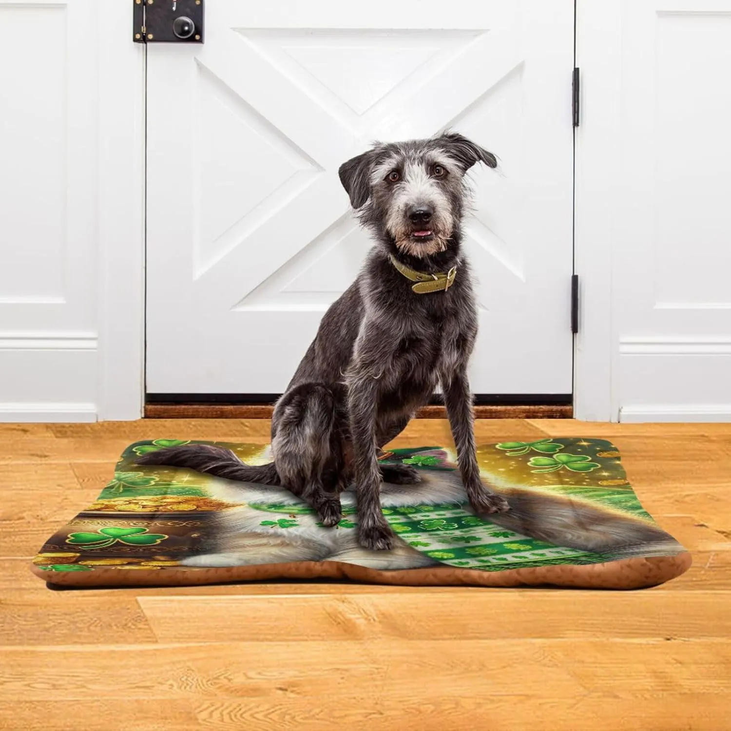 Joko Ivery Cat St Patricks Gold Coins Dog Cat Bed for Crate Soft Crate Pad Machine Washable Sleeping Mats Anti Slip Crate Mat for Dogs Puppy Cats Indoor Pet Supplies 2418 in