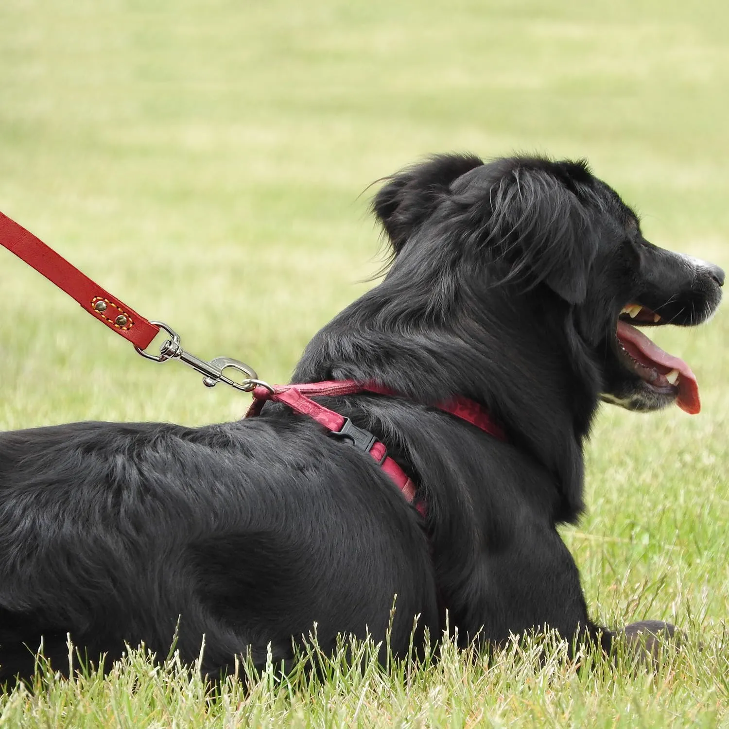 LWBMG Leather Dog Leash 6 ft, Dog Leashes for Large Dogs Heavy Duty Dog Leash Soft Handmade Leather Training Leash for Small Medium Large Dogs Walking, Training, Hiking, and Running Red