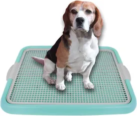 Mesh Training Toilet Potty Tray for Puppy and Small Size Dog 20.3 x 16.3 x 1.2 inch (Mint Gray)