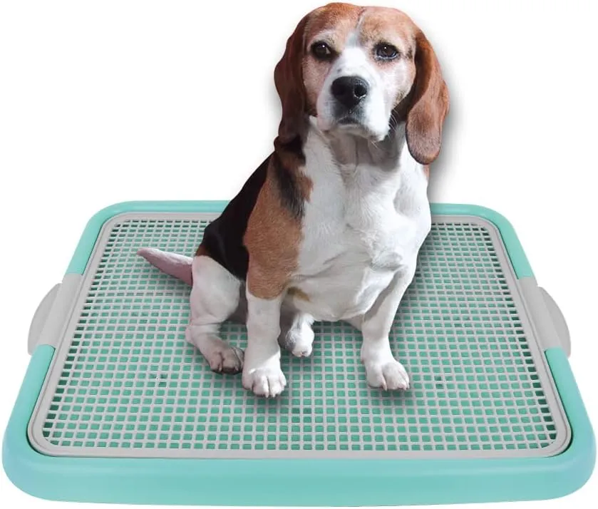 Mesh Training Toilet Potty Tray for Puppy and Small Size Dog 20.3 x 16.3 x 1.2 inch (Mint Gray)