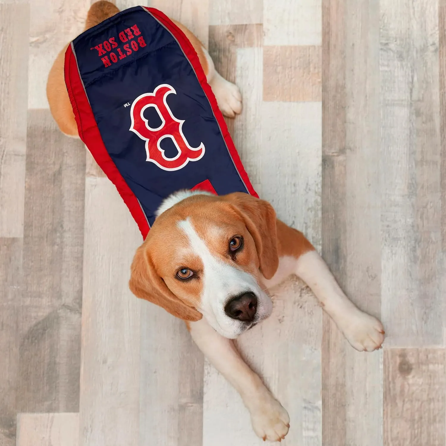MLB Boston Red Sox Puffer Vest for Dogs & Cats, Size Small. Warm, Cozy, and Waterproof Dog Coat, for Small and Large Dogs/Cats. Best MLB Licensed PET Warming Sports Jacket