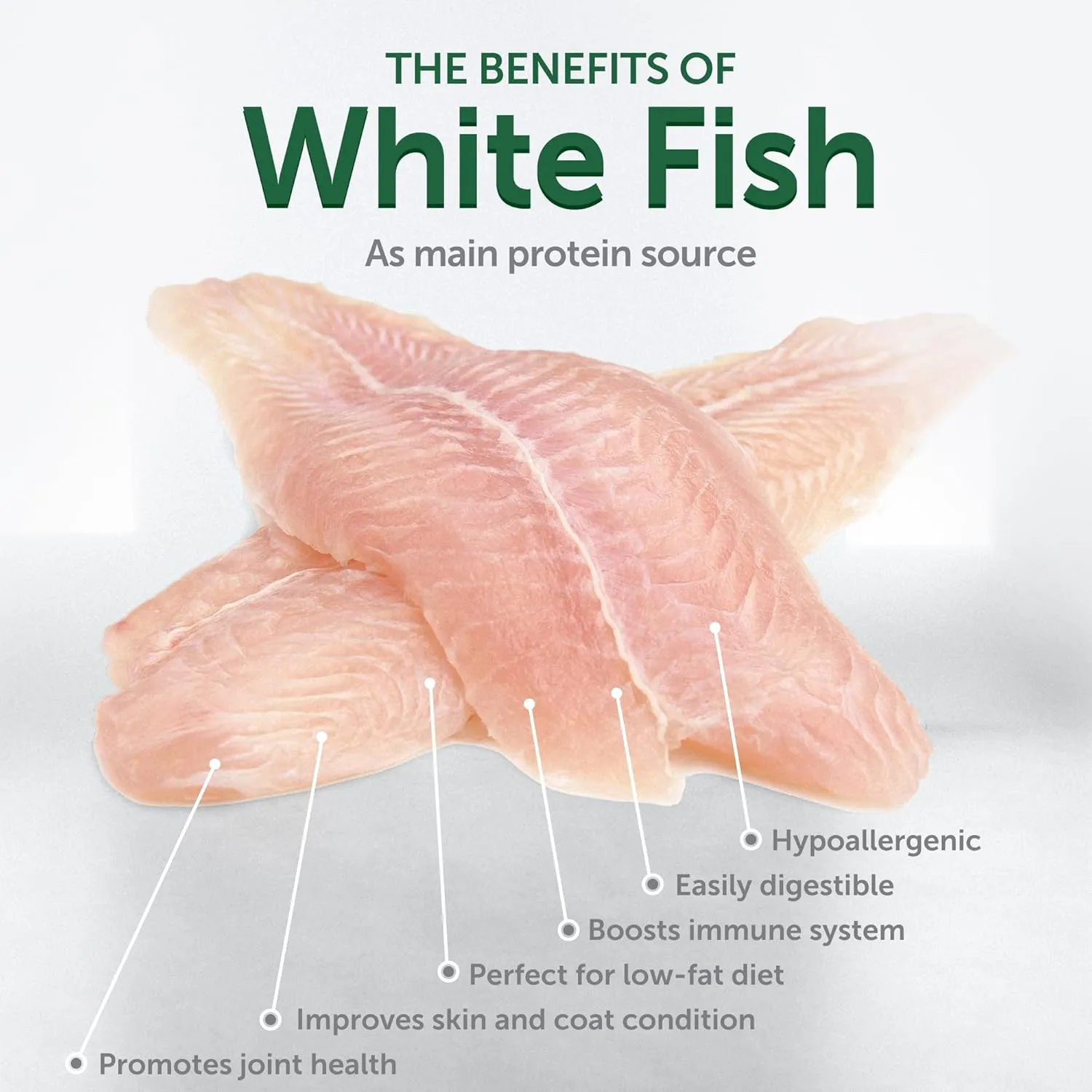 Nature's Protection Superior Care White Dogs Grain-Free Dry Dog Food - High Protein, Tear Stain Dog Food for Small & Mini Breeds Light Coated Junior Dogs, Fresh Pet Meal, White Fish, 3.3 lb