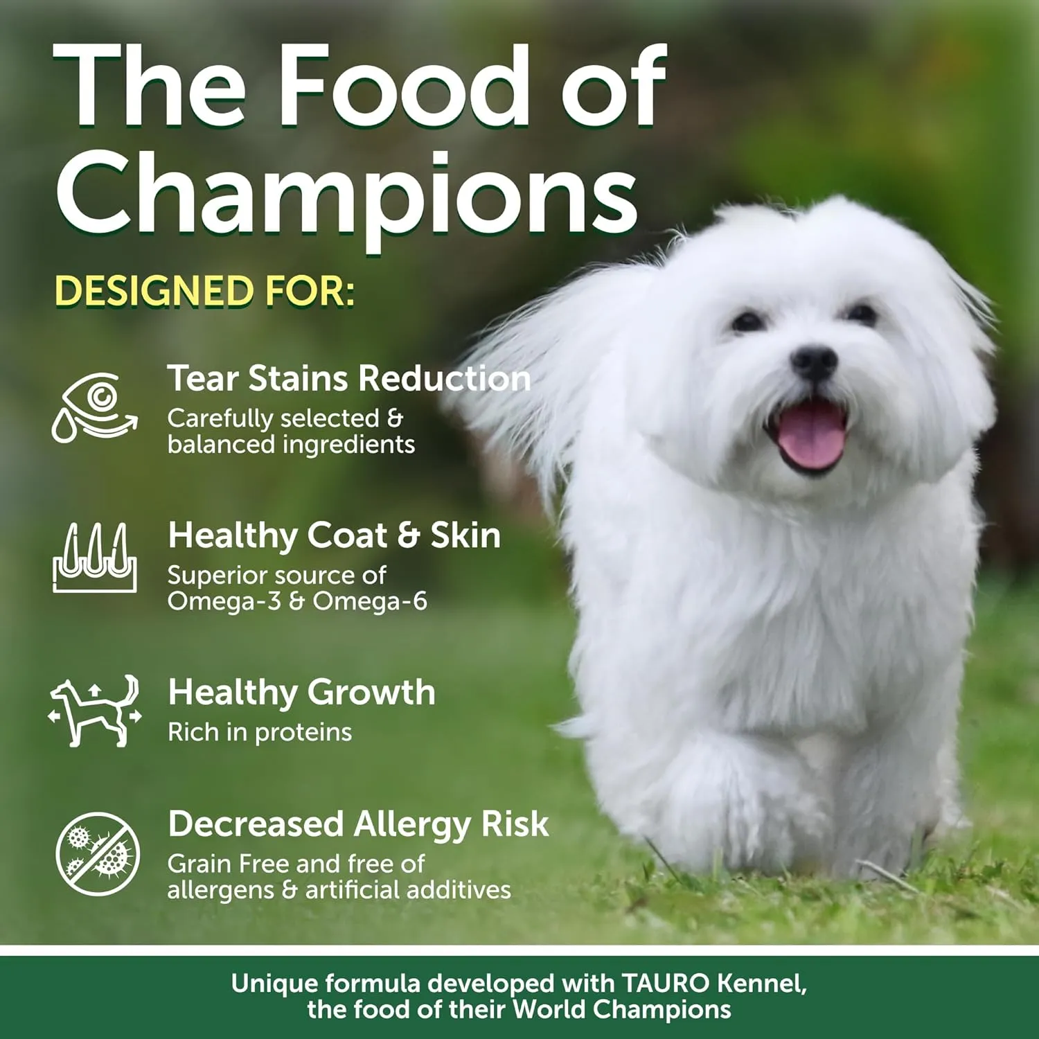 Nature's Protection Superior Care White Dogs Grain-Free Dry Dog Food - High Protein, Tear Stain Dog Food for Small & Mini Breeds Light Coated Junior Dogs, Fresh Pet Meal, White Fish, 3.3 lb
