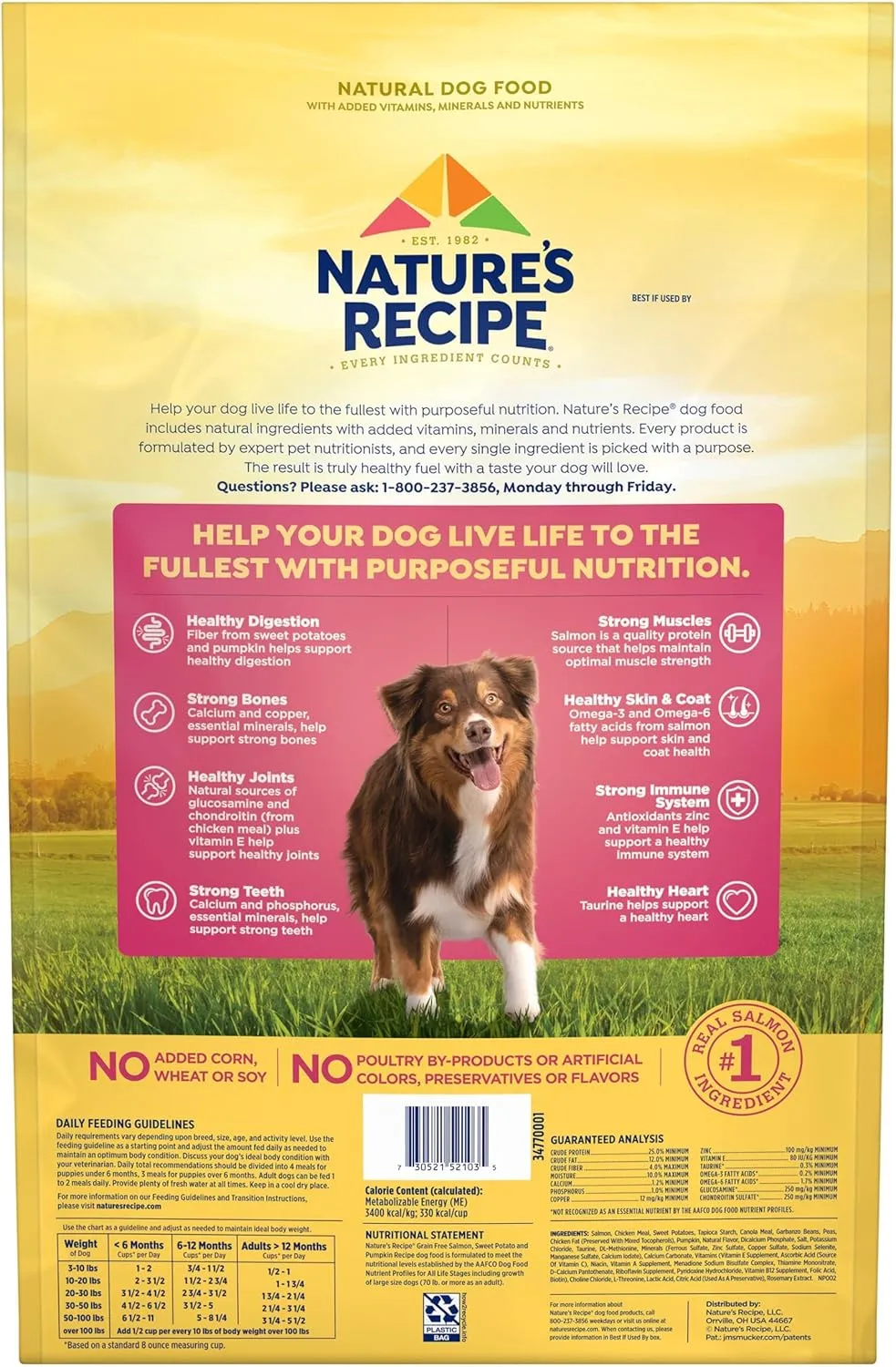 Natures Recipe Grain Free Salmon, Sweet Potato & Pumpkin Recipe Dry Dog Food, 12 lb. Bag