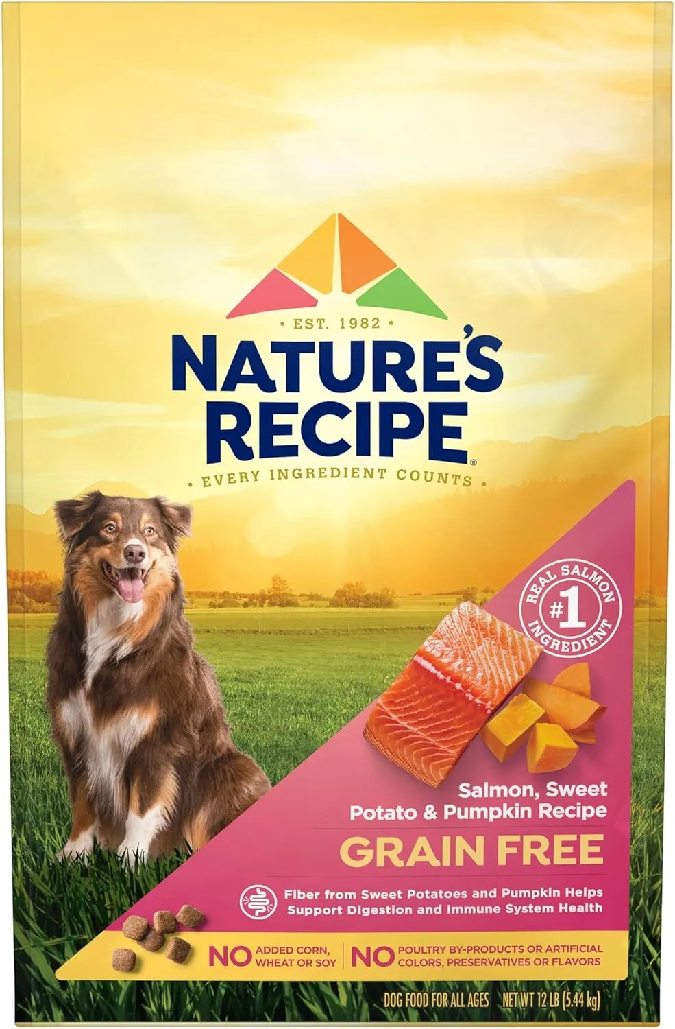Natures Recipe Grain Free Salmon, Sweet Potato & Pumpkin Recipe Dry Dog Food, 12 lb. Bag