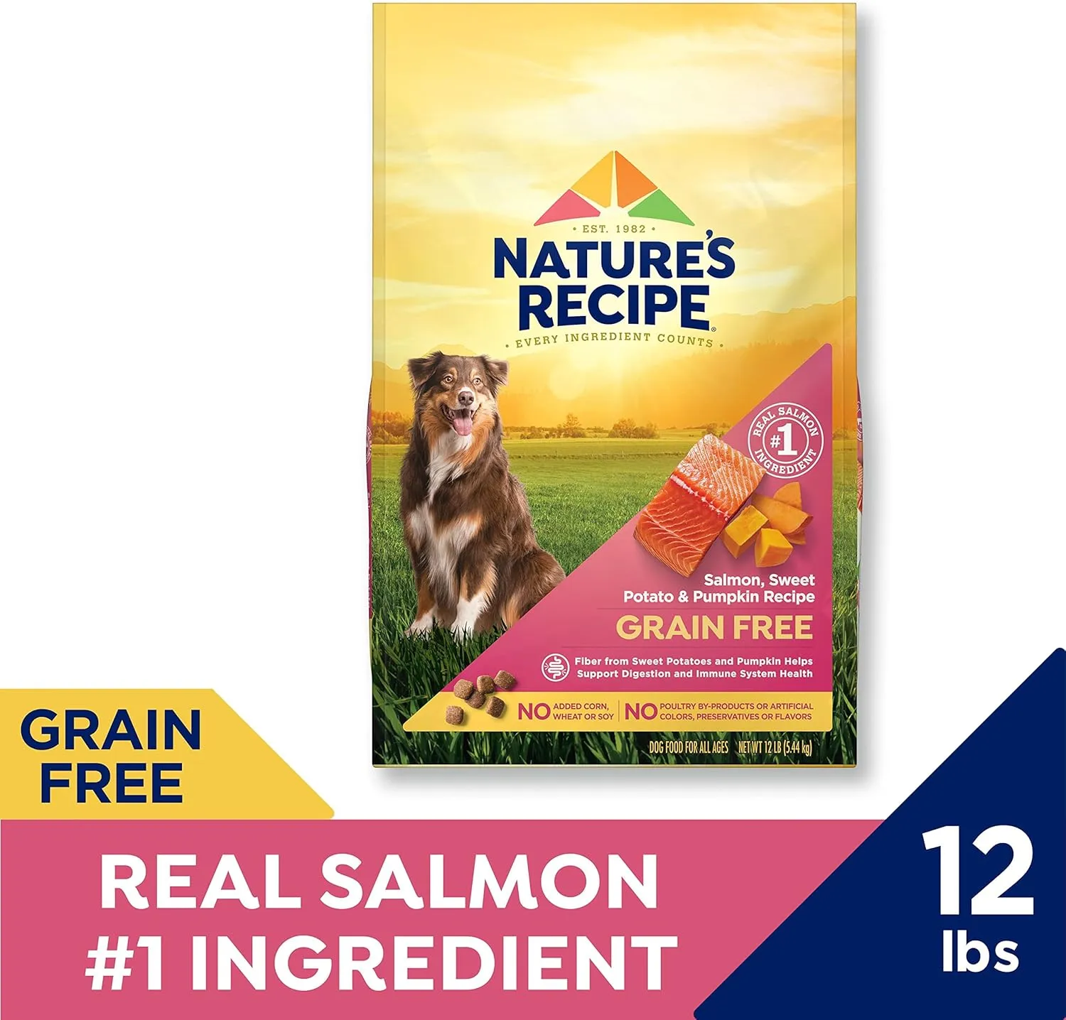 Natures Recipe Grain Free Salmon, Sweet Potato & Pumpkin Recipe Dry Dog Food, 12 lb. Bag
