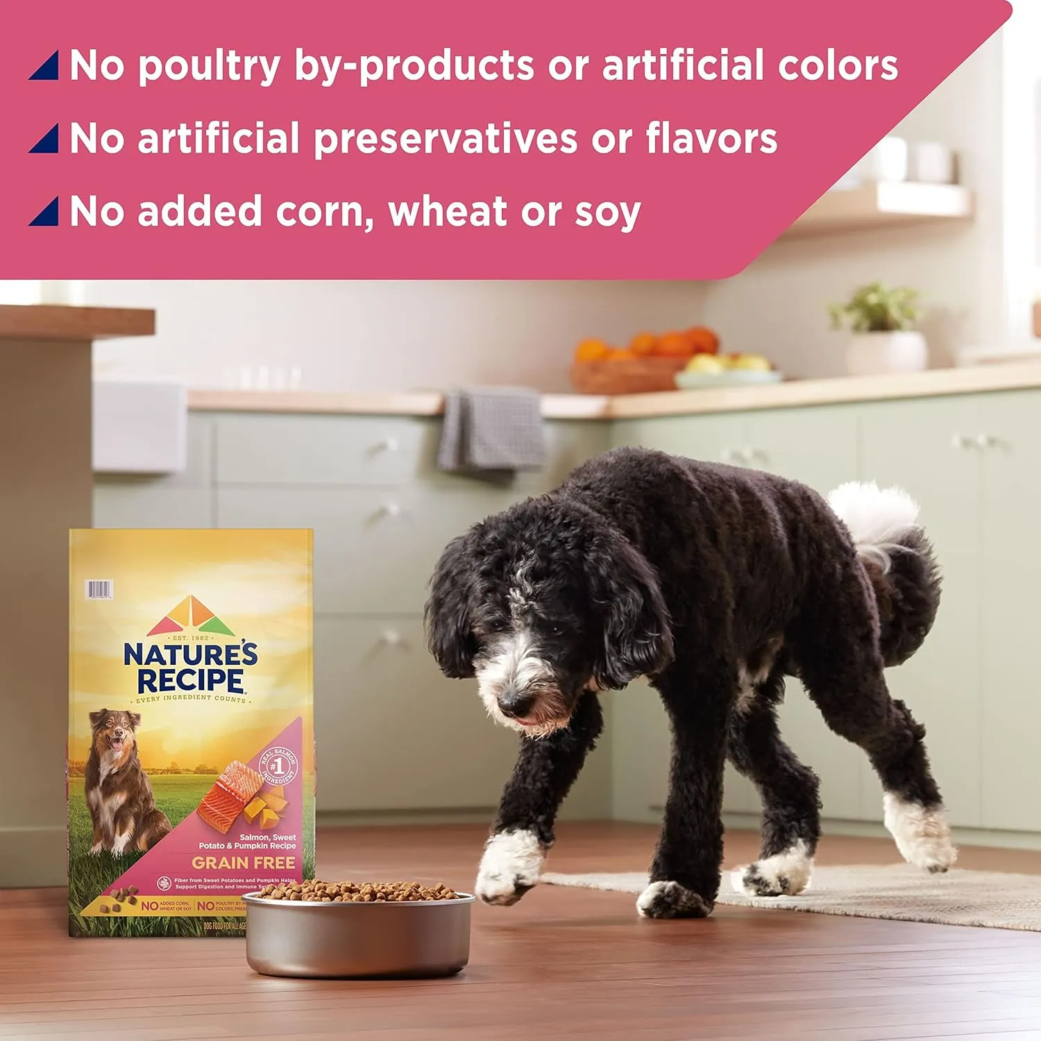 Natures Recipe Grain Free Salmon, Sweet Potato & Pumpkin Recipe Dry Dog Food, 12 lb. Bag