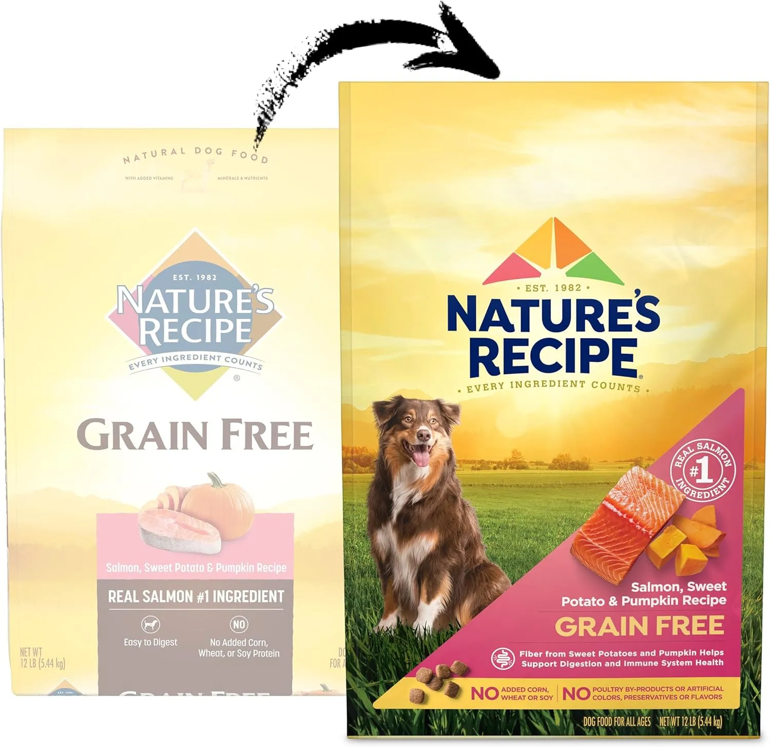 Natures Recipe Grain Free Salmon, Sweet Potato & Pumpkin Recipe Dry Dog Food, 12 lb. Bag